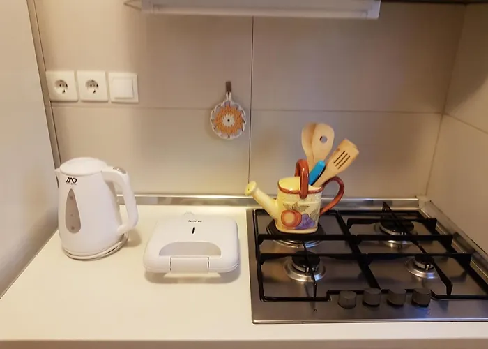 Appartamento Luka Orsera